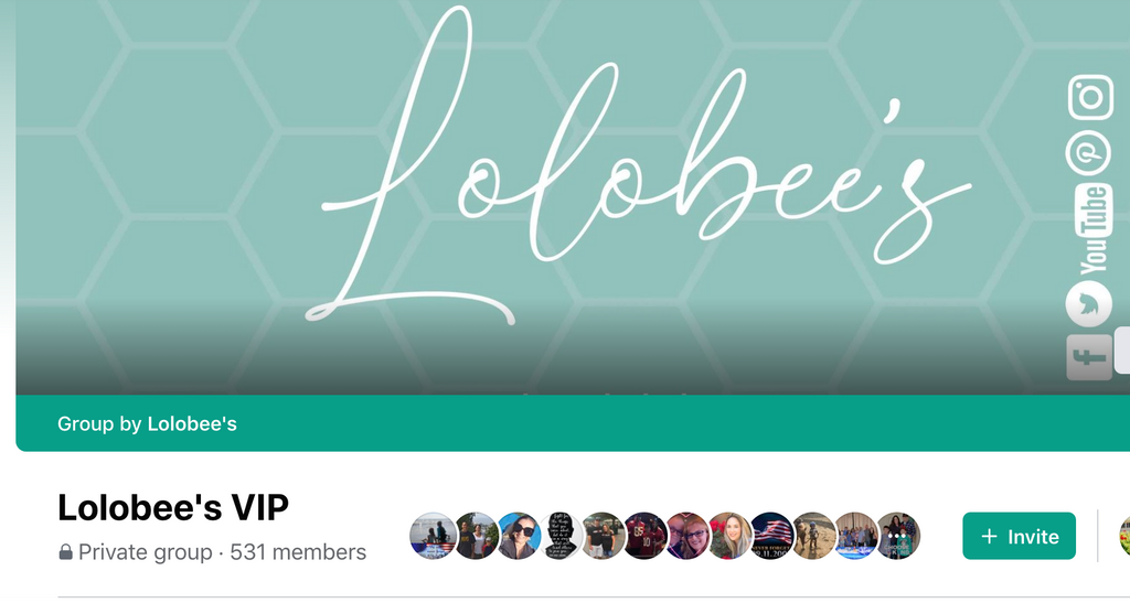 Join our VIP Facebook Group!