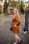 Going My Way Dress In Autumn Copper