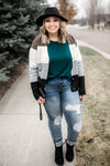 Simply The Best Color Block Button Up Sweater